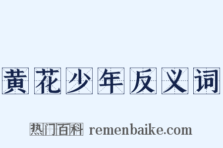 黄花少年反义词是什么意思的图片